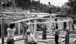 building house nepal bw